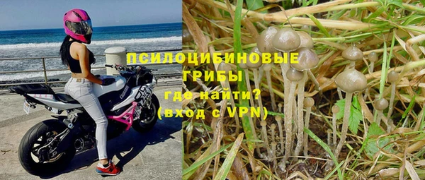 меф Медногорск