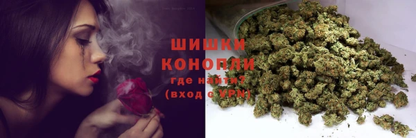 прущие грибы Магас
