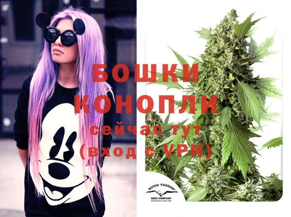 прущая мука Бородино