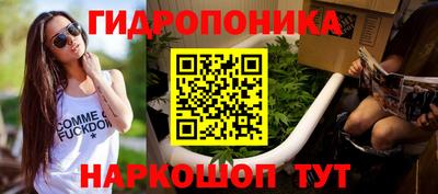 дурь Новодвинск