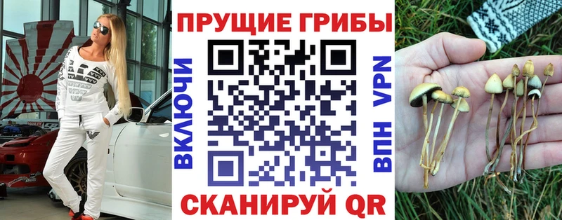 Галлюциногенные грибы мицелий  купить  цена  Маркс 