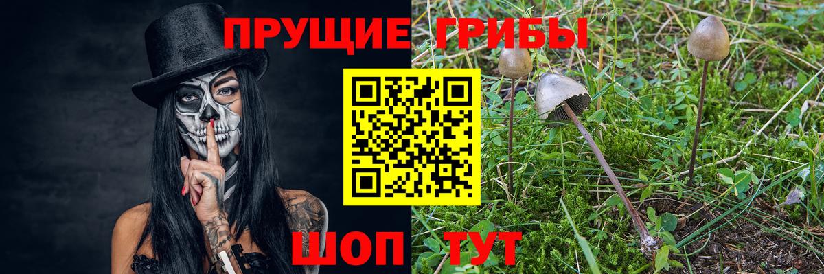 Псилоцибиновые грибы Psilocybe Маркс
