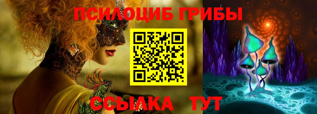 Псилоцибиновые грибы прущие грибы Маркс