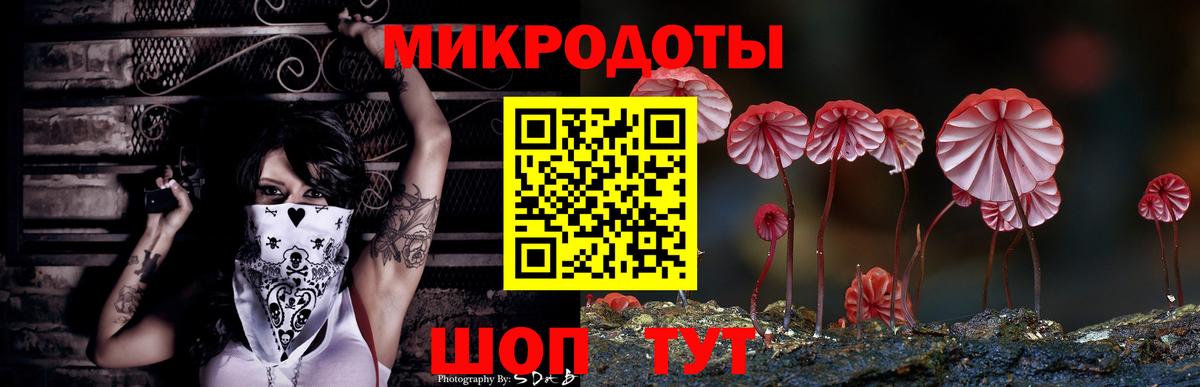 Галлюциногенные грибы GOLDEN TEACHER  Маркс 